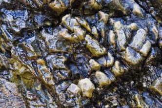 Photo Visual representation