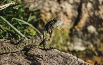 Photo Visual representation