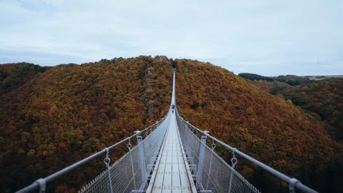 Photo Cable structure