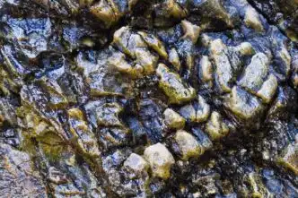 Photo Visual representation