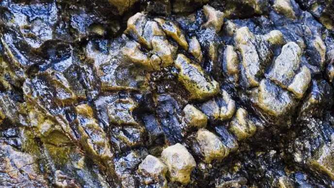 Photo Visual representation