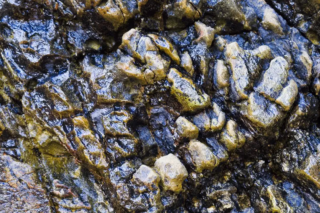 Photo Visual representation