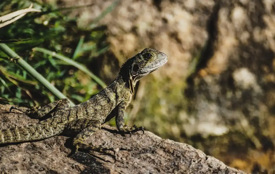 Photo Visual representation