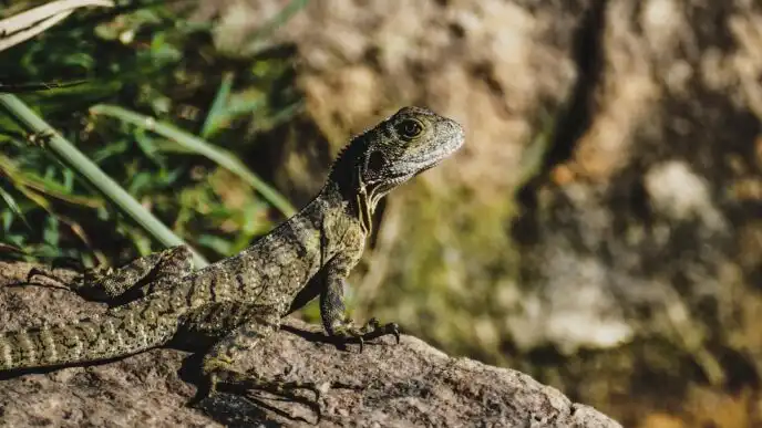 Photo Visual representation