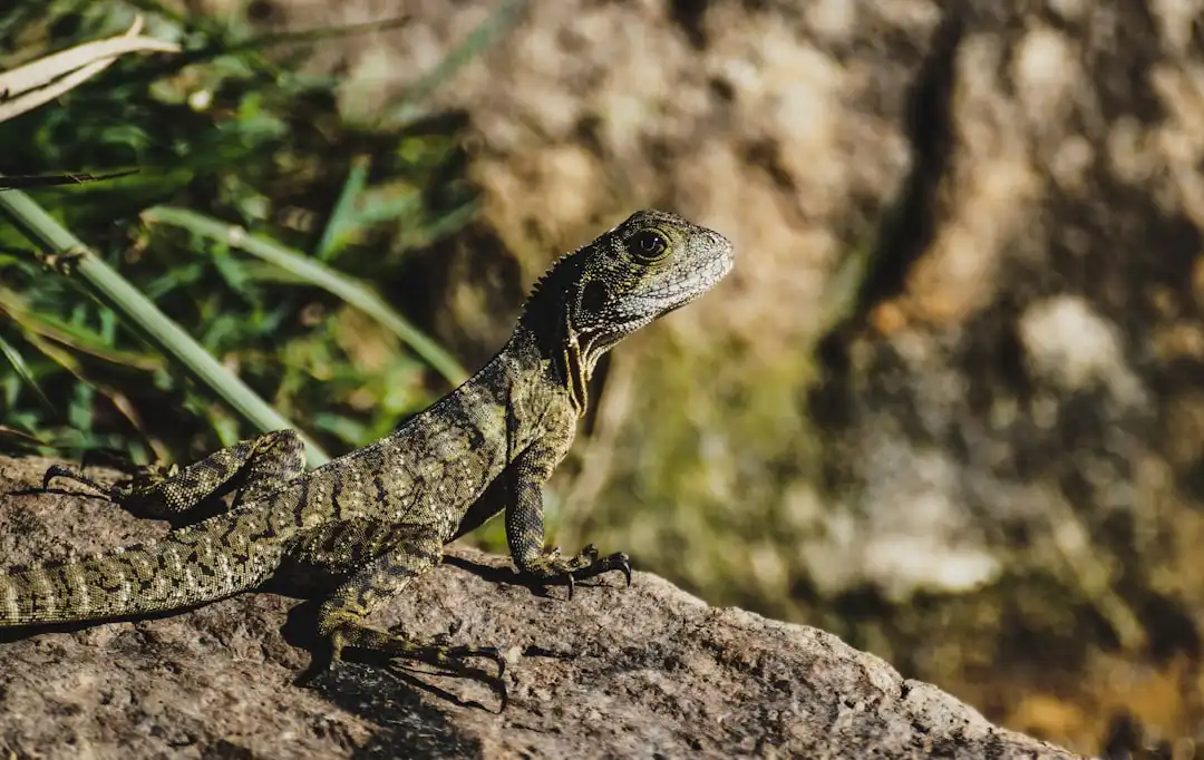 Photo Visual representation