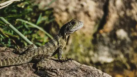 Photo Visual representation